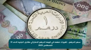 سعر الدرهم.. تغيرات مهمة في قيمة الدرهم الإماراتي مقابل الجنيه الأحد 31 أغسطس 2025